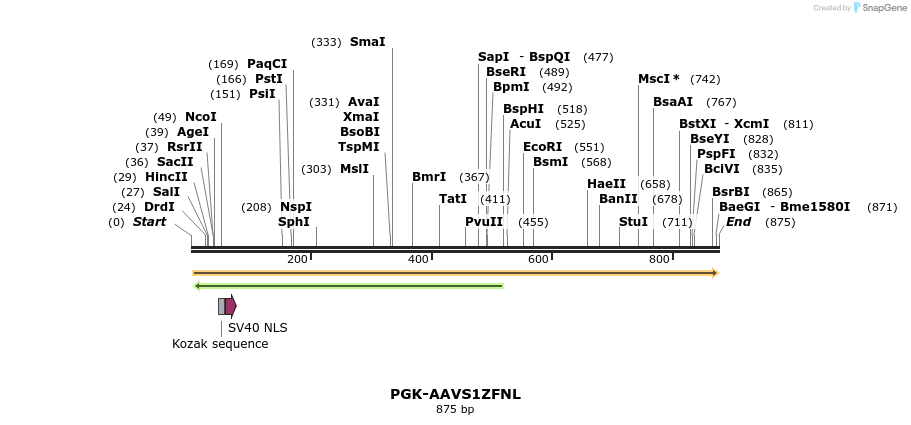 100790_map