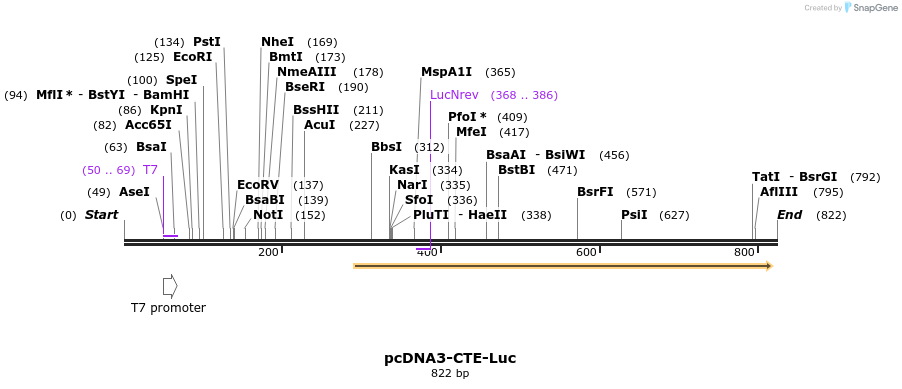 100796_map