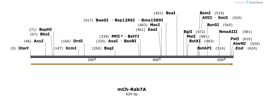 100797_map