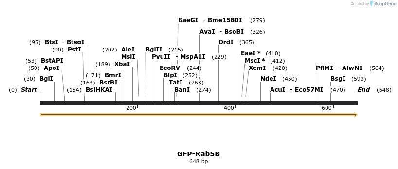 100800_map