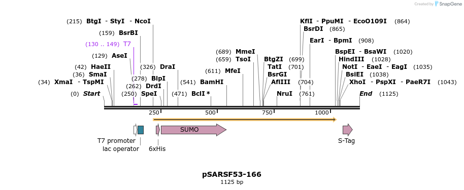 100810_map