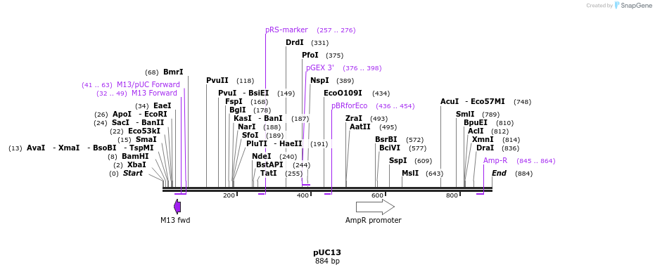 100822_map