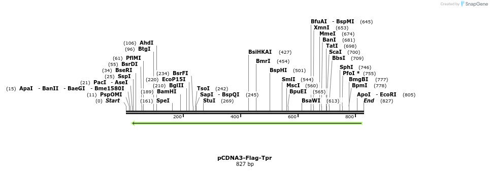 100829_map