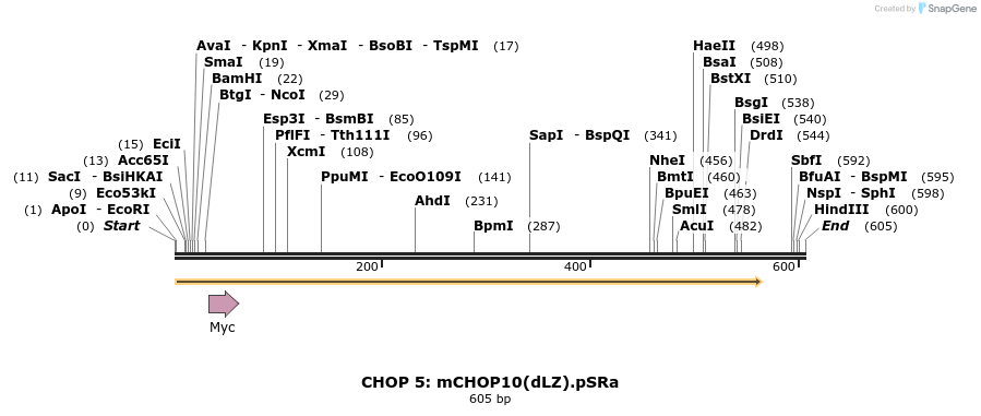 10083_map