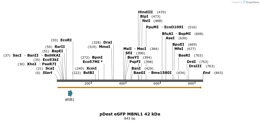 100830_map