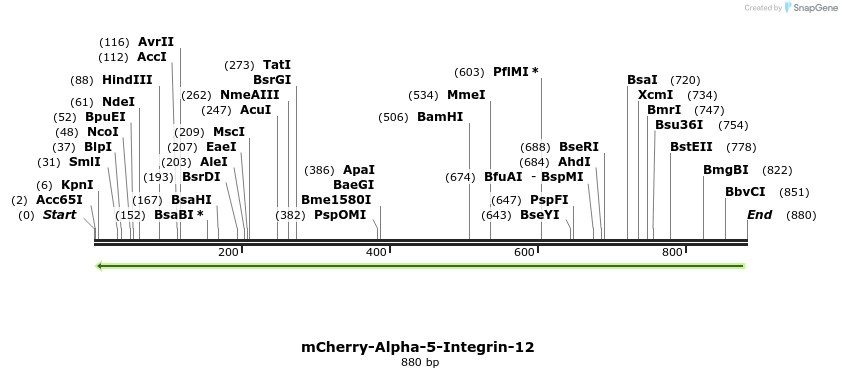100858_map