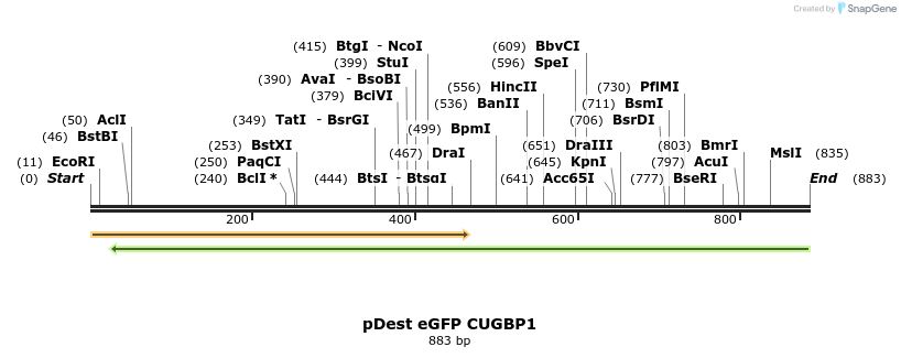 100861_map