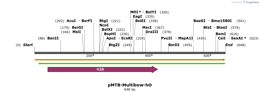 100864_map