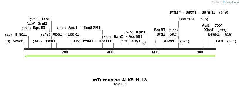 100866_map