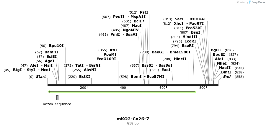 100871_map