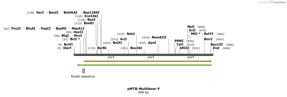 100874_map