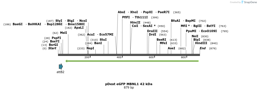100875_map