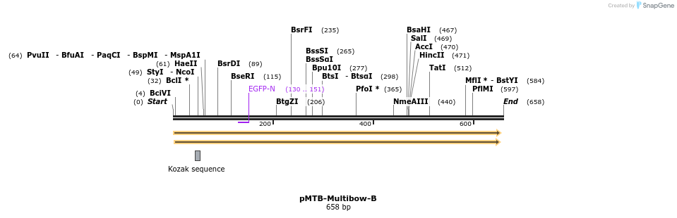 100876_map