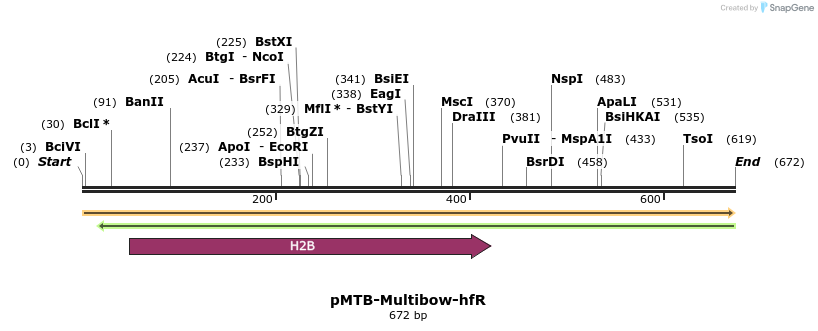 100877_map