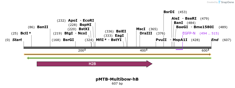 100878_map