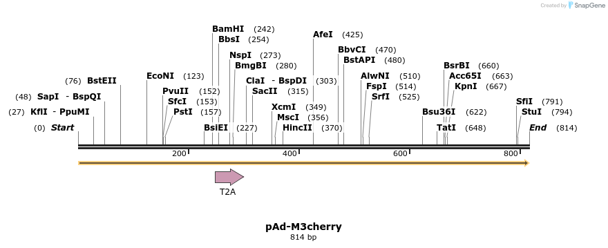 100879_map