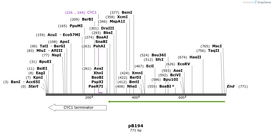100880_map