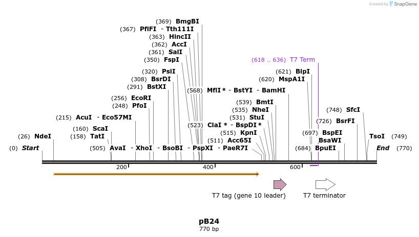 100881_map