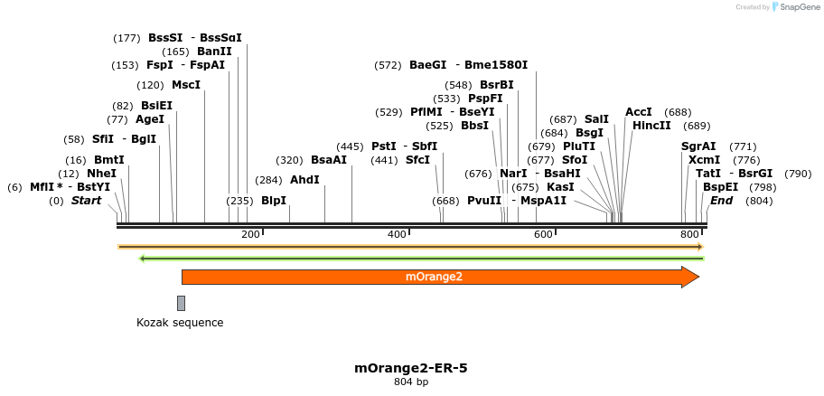 100882_map