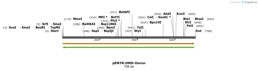 100886_map