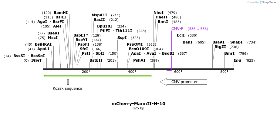 100888_map