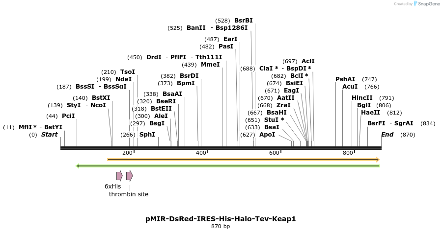 100892_map