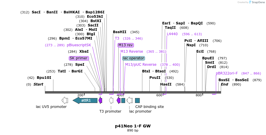 100893_map