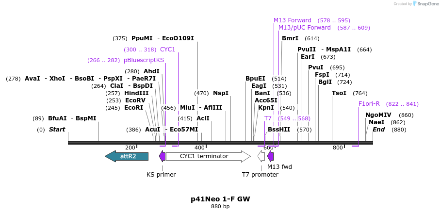 100894_map