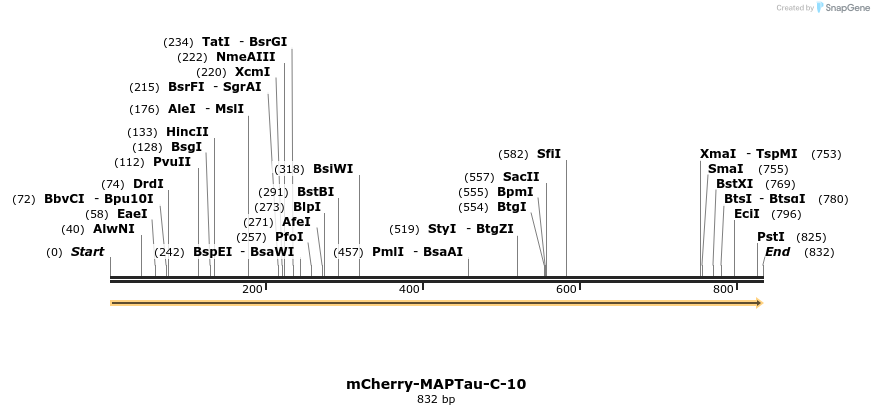 100896_map