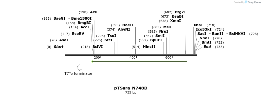 100897_map