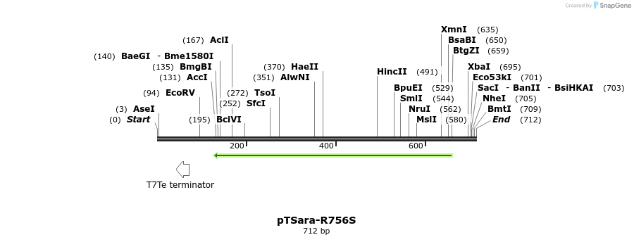 100900_map