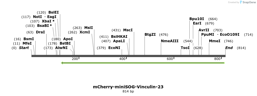 100905_map