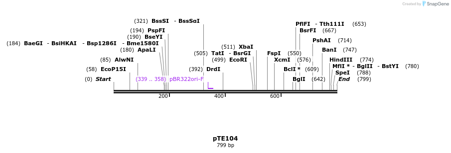 100906_map