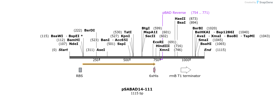 100915_map