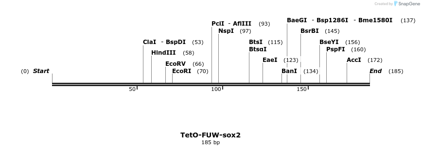 100923_map