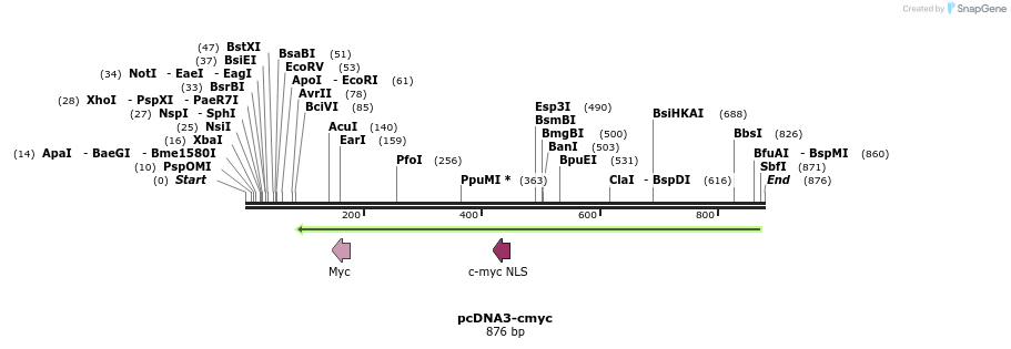 100926_map