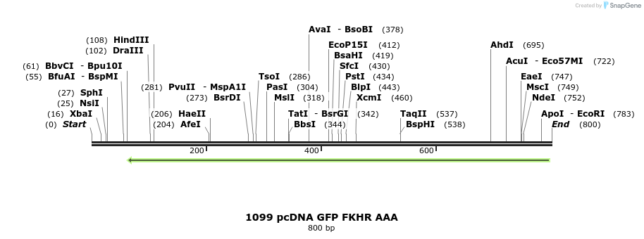 100927_map
