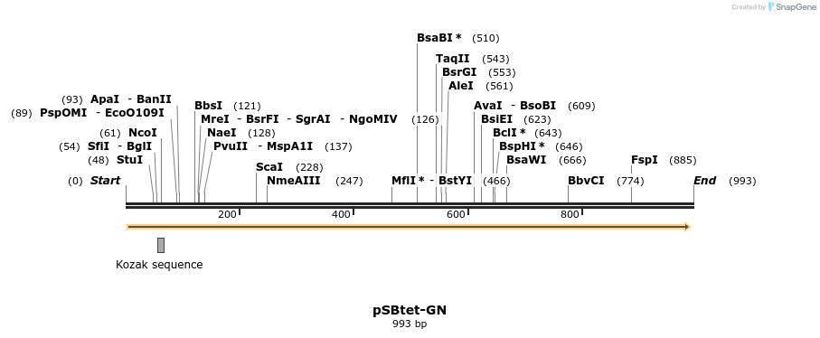 100931_map