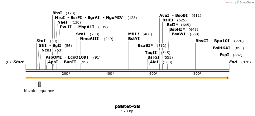 100932_map