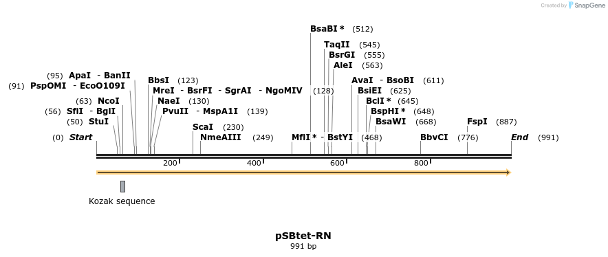 100933_map