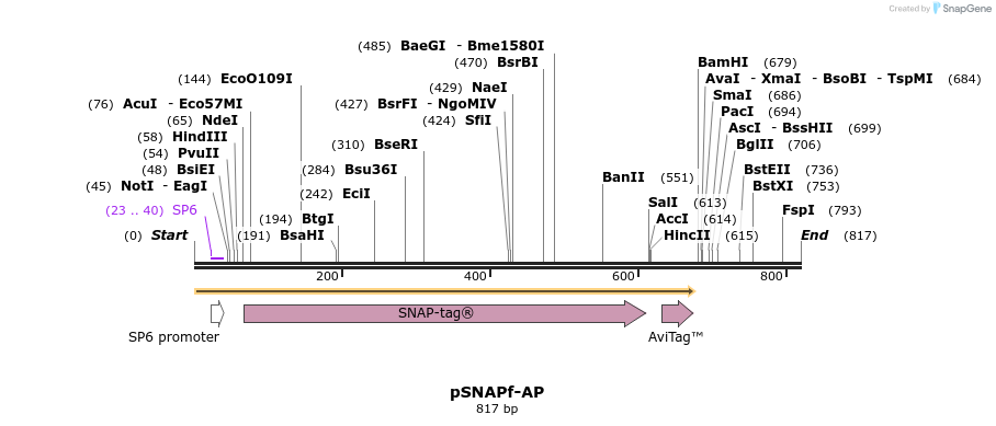 100936_map