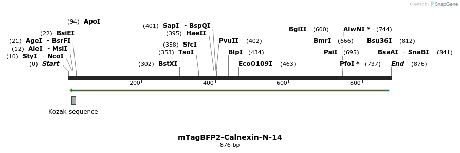 100942_map