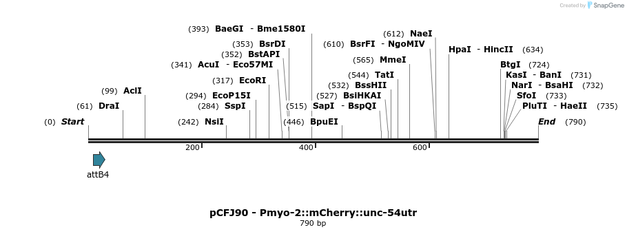 100950_map