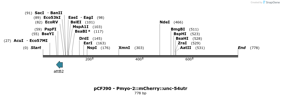 100952_map