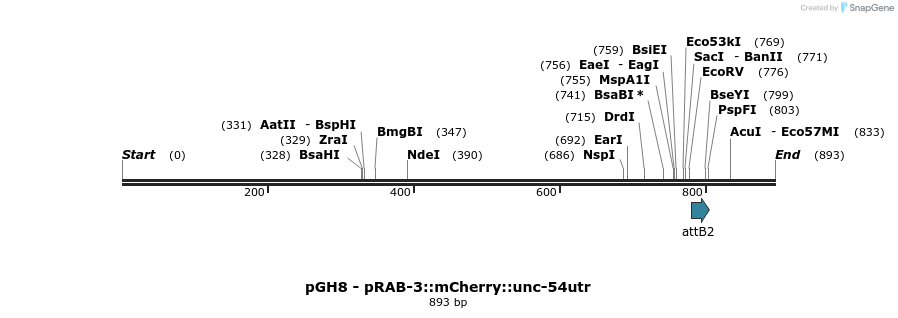 100954_map