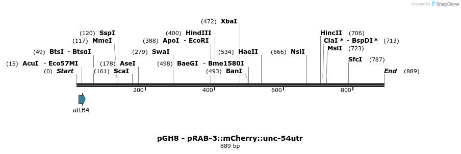 100956_map