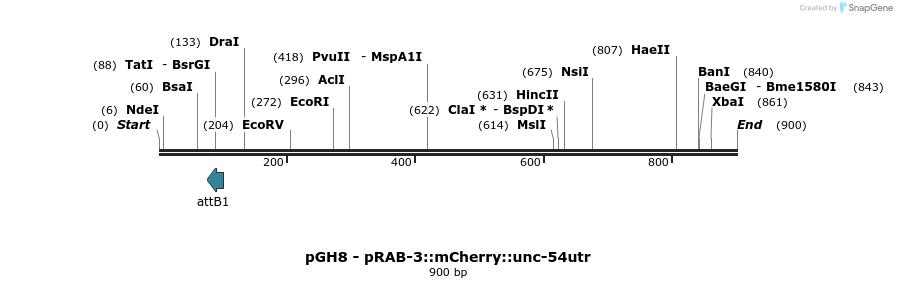 100957_map