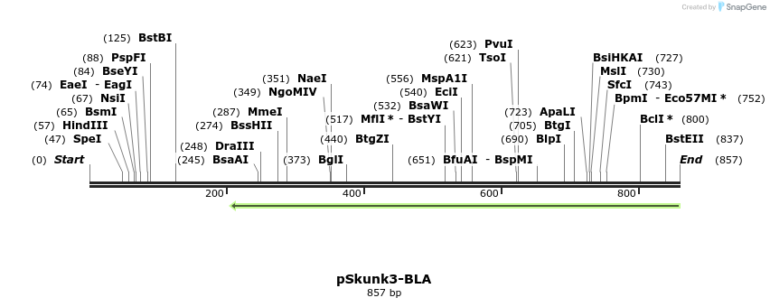 100968_map