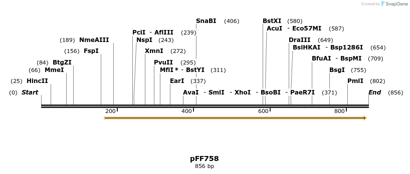 100971_map