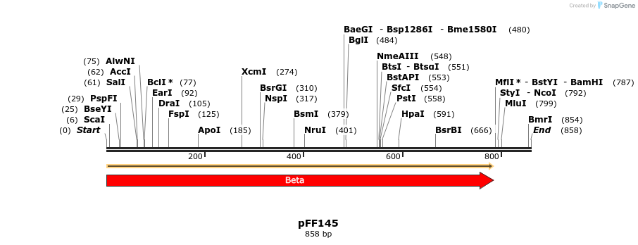 100973_map